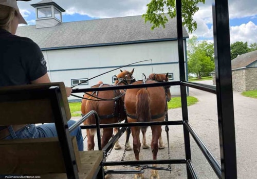 Navigating the Parking Situation for Exhibits in Wilder, Kentucky: A Comprehensive Guide